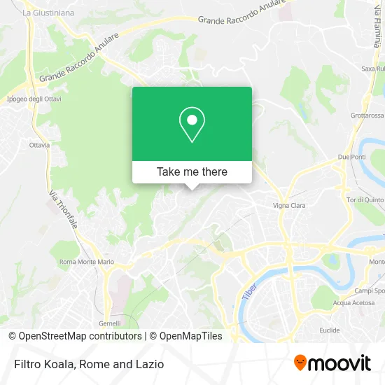 Filtro Koala map