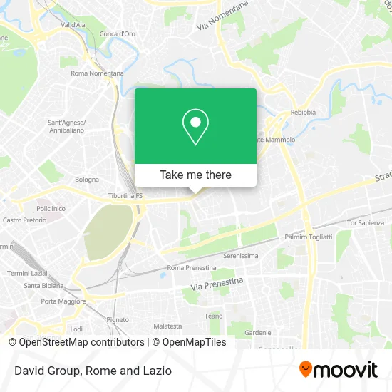 David Group map