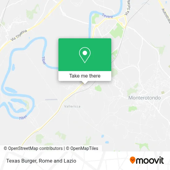 Texas Burger map