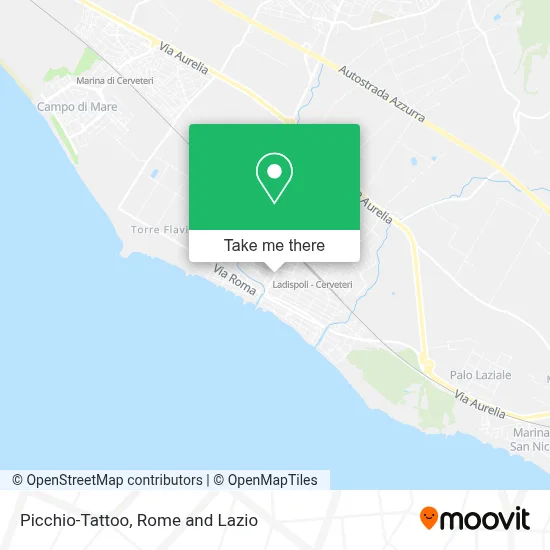 Picchio-Tattoo map