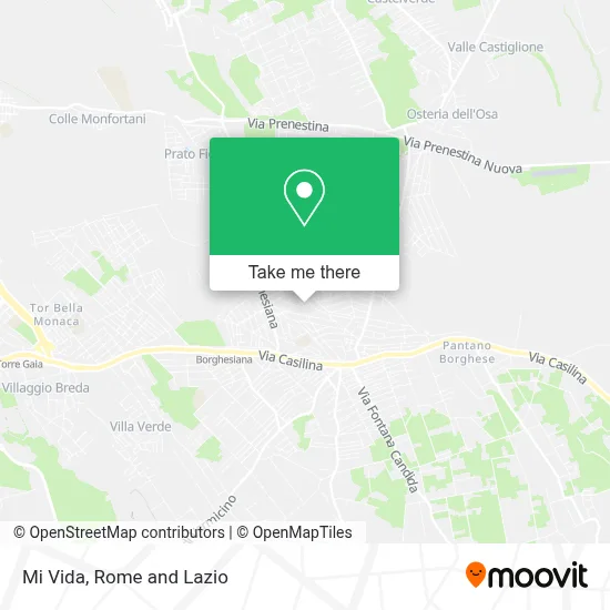 Mi Vida map
