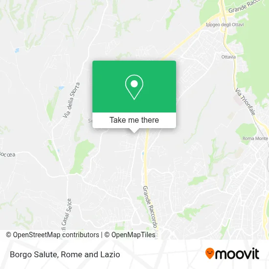 Borgo Salute map