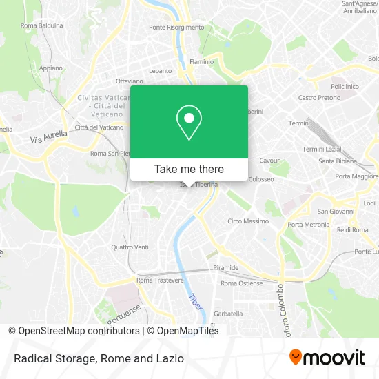 Radical Storage map