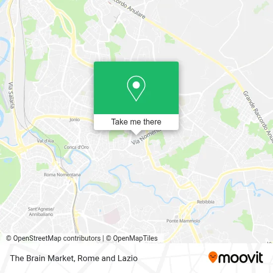 The Brain Market map