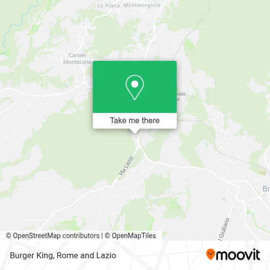 Burger King map