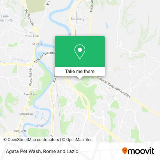 Agata Pet Wash map
