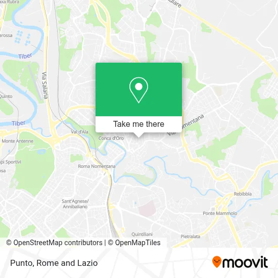 Punto map