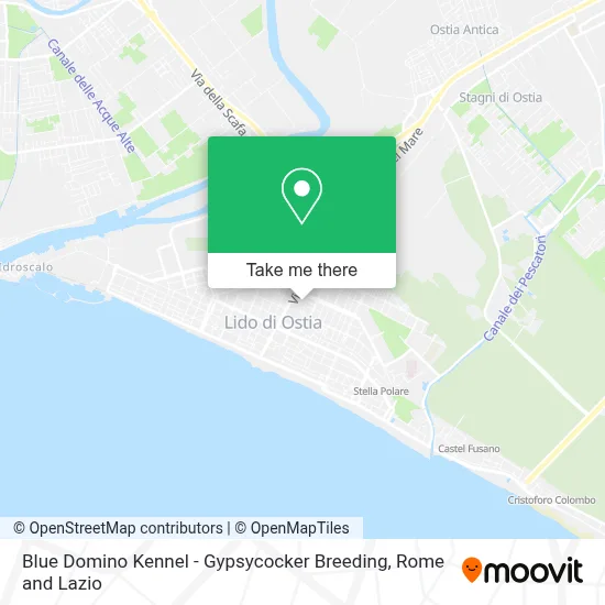 Blue Domino Kennel - Gypsycocker Breeding map