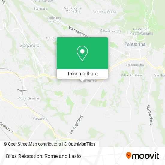 Bliss Relocation map