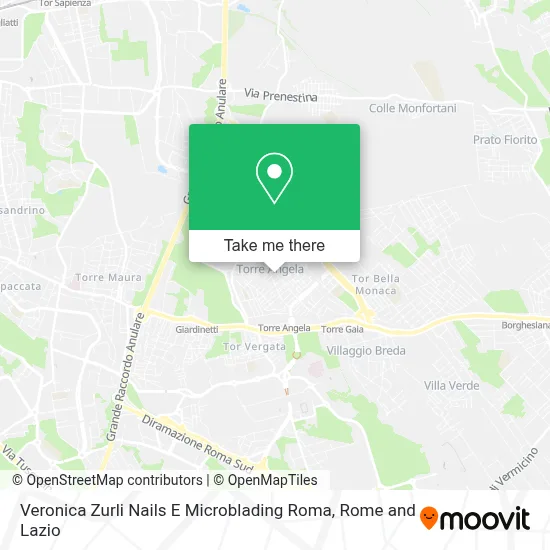 Veronica Zurli Nails E Microblading Roma map