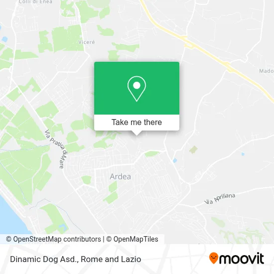 Dinamic Dog Asd. map