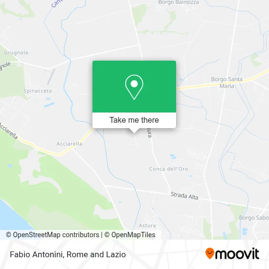 Fabio Antonini map