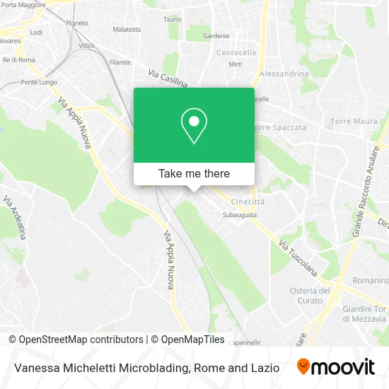 Vanessa Micheletti Microblading map