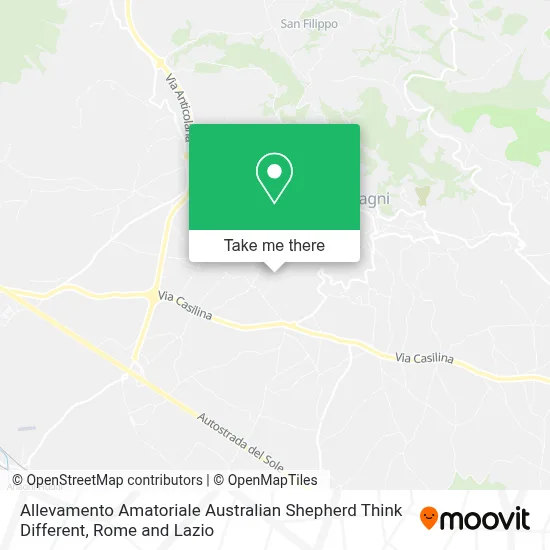 Allevamento Amatoriale Australian Shepherd Think Different map