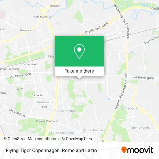 Flying Tiger Copenhagen map
