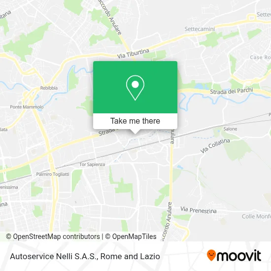 Autoservice Nelli S.A.S. map