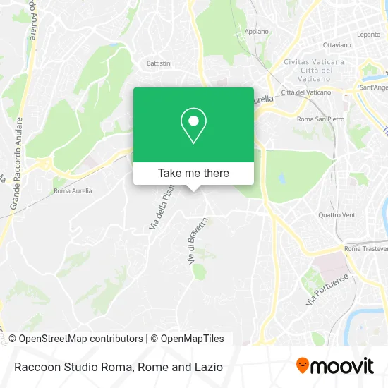 Raccoon Studio Roma map
