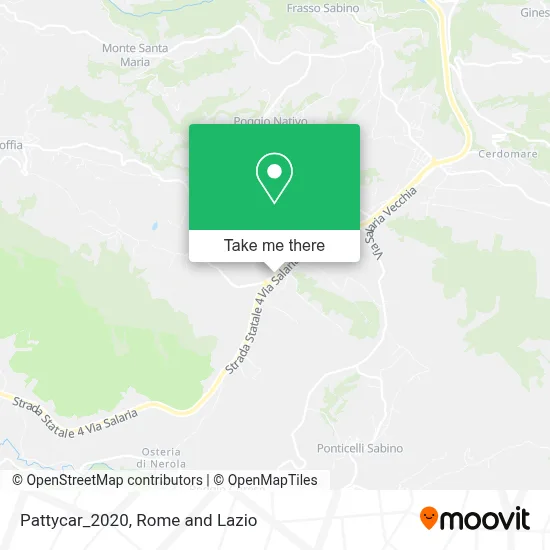 Pattycar_2020 map