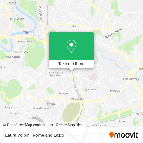 Laura Volpini map