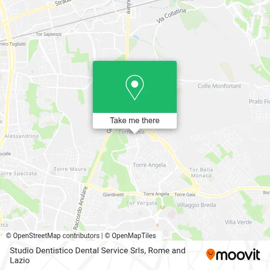 Studio Dentistico Dental Service Srls map