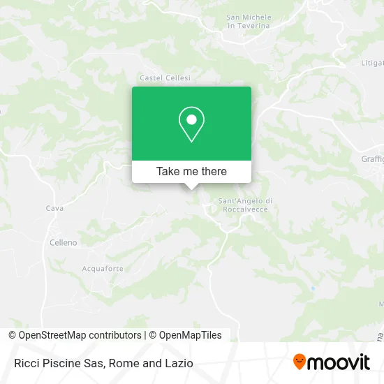 Ricci Piscine Sas map