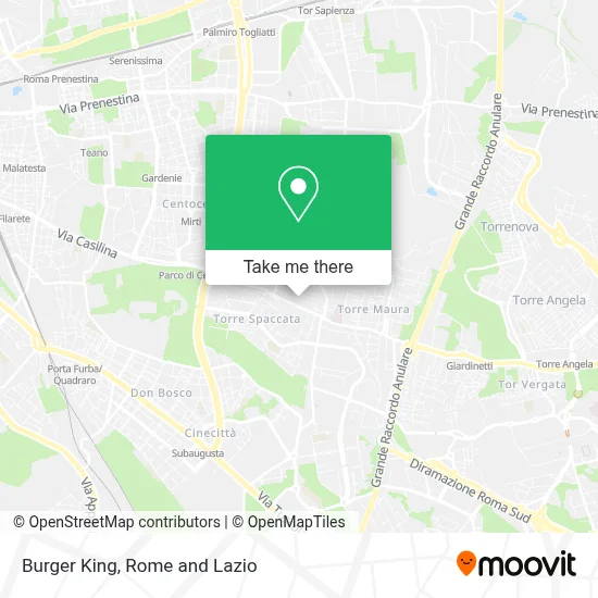 Burger King map