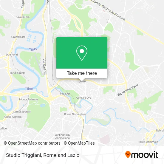 Studio Triggiani map