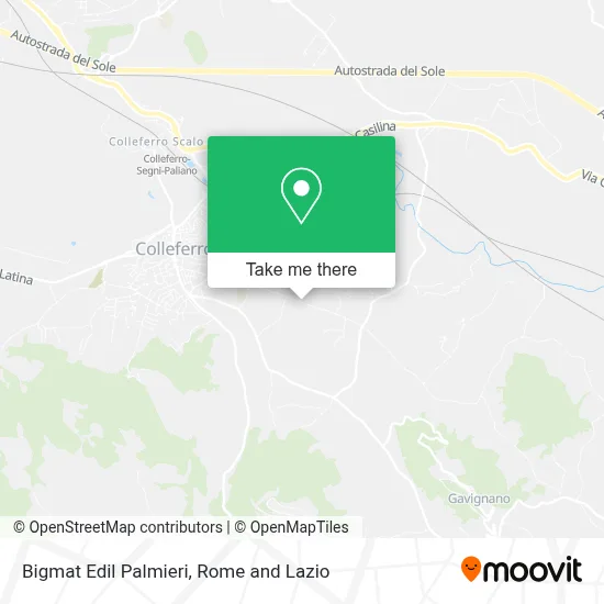 Bigmat Edil Palmieri map