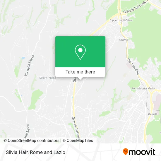 Silvia Hair map