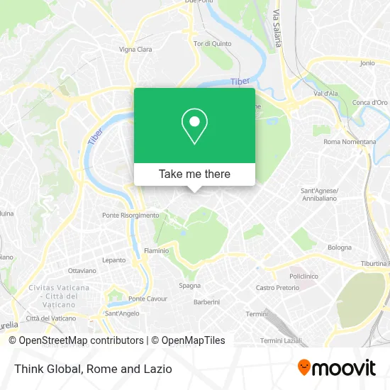 Think Global map