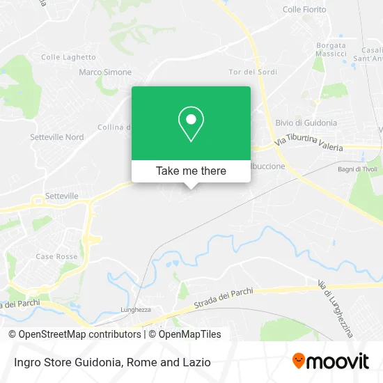 Ingro Store Guidonia map
