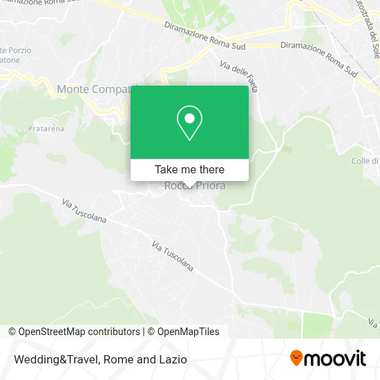 Wedding&Travel map