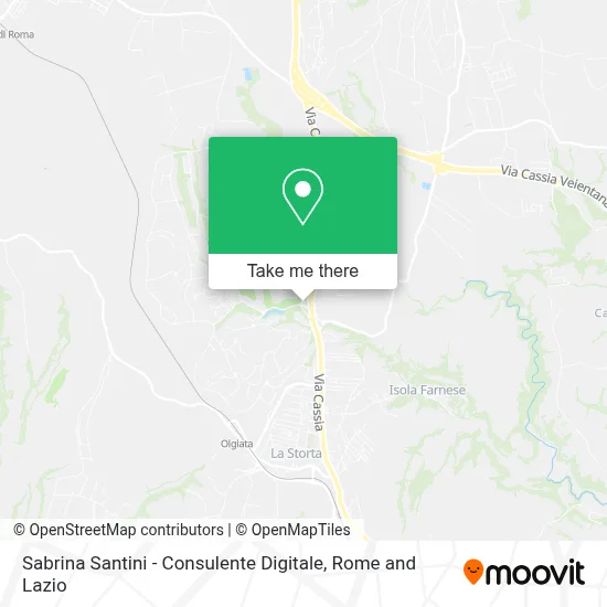 Sabrina Santini - Consulente Digitale map