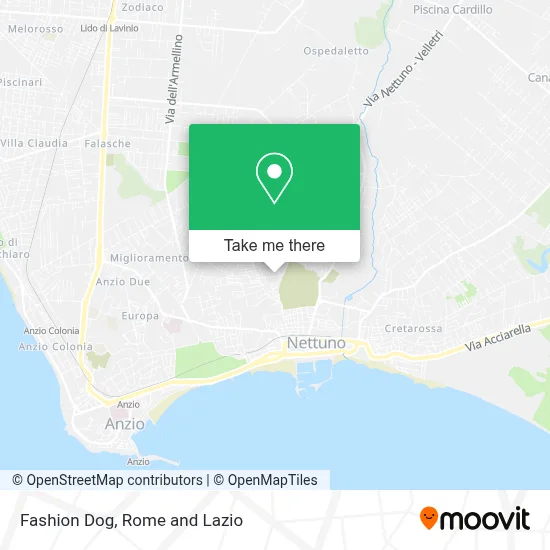 Fashion Dog map