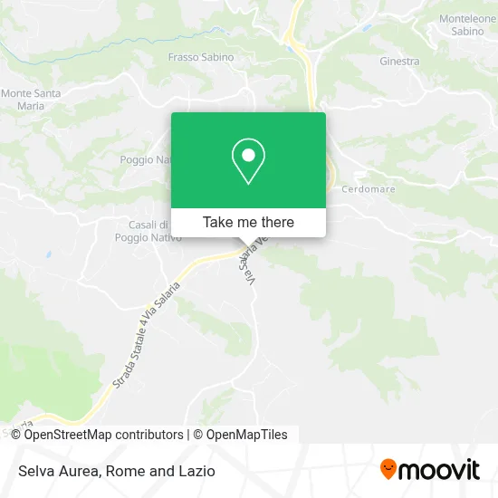 Selva Aurea map