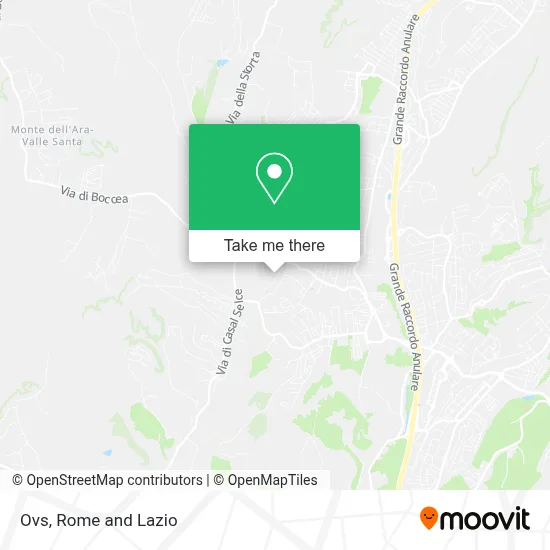 Ovs map