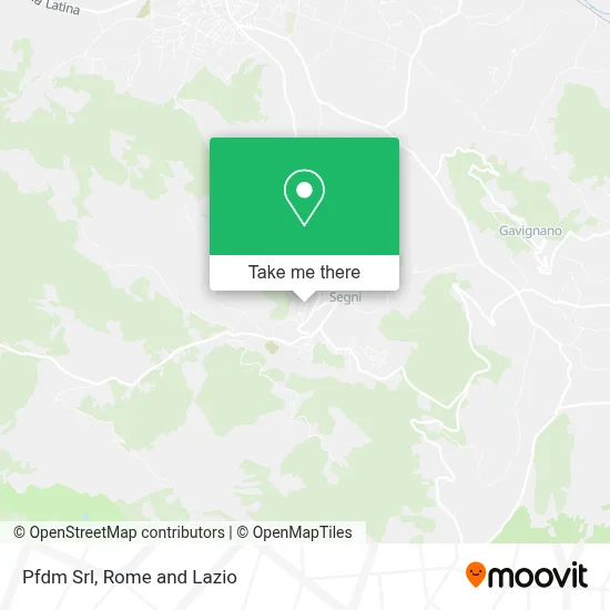 Pfdm Srl map