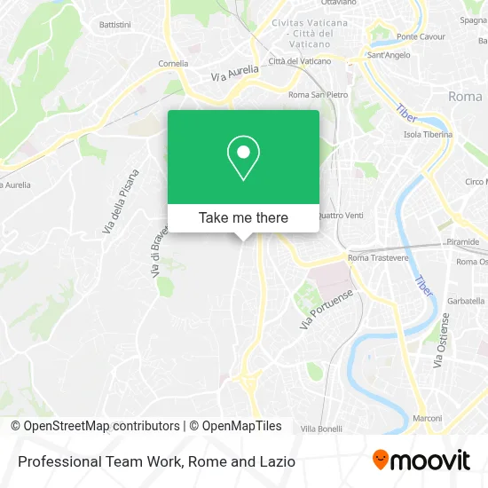 Professional Team Work map