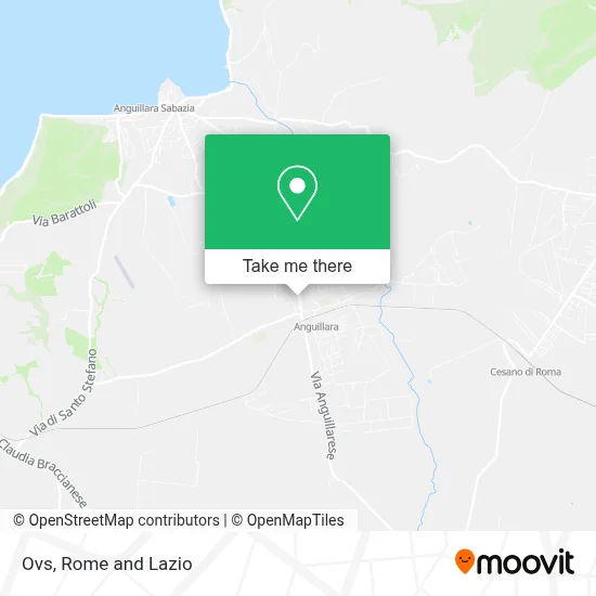 Ovs map