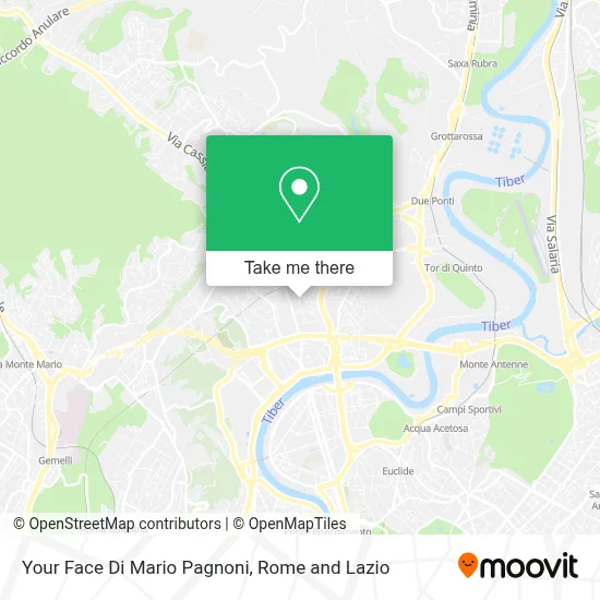 Your Face Di Mario Pagnoni map