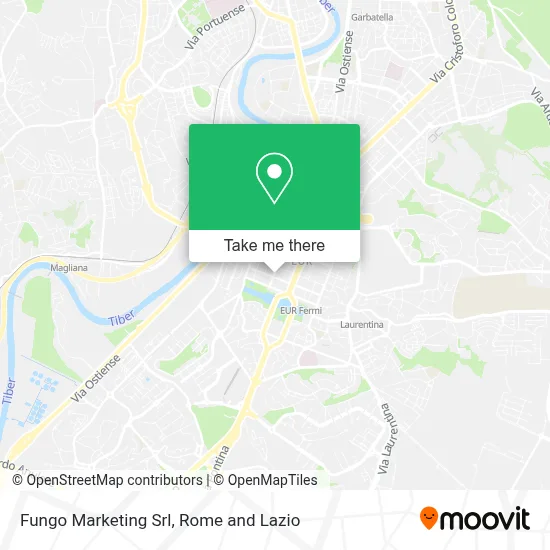 Fungo Marketing Srl map