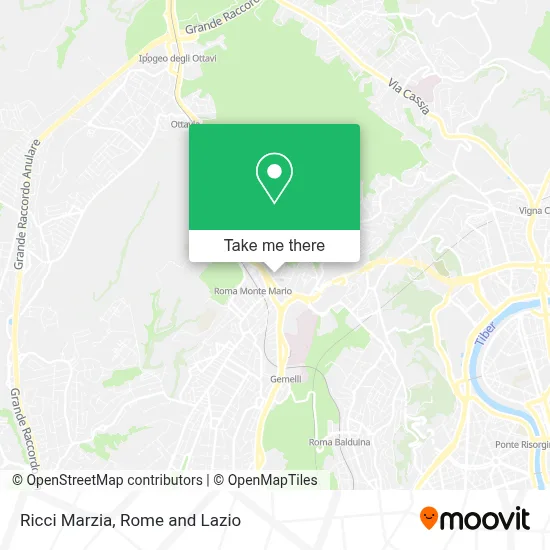 Ricci Marzia map