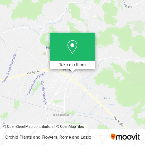 Orchid Plants and Flowers map