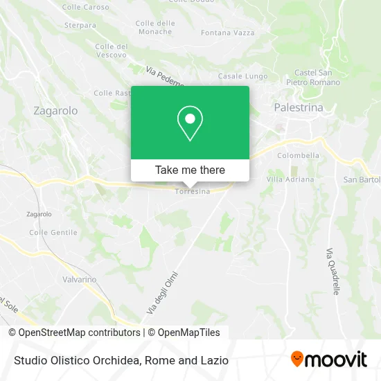 Studio Olistico Orchidea map