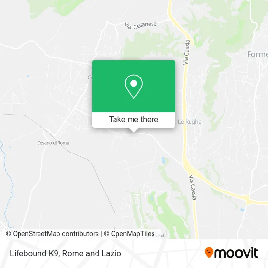 Lifebound K9 map