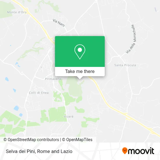 Selva dei Pini map