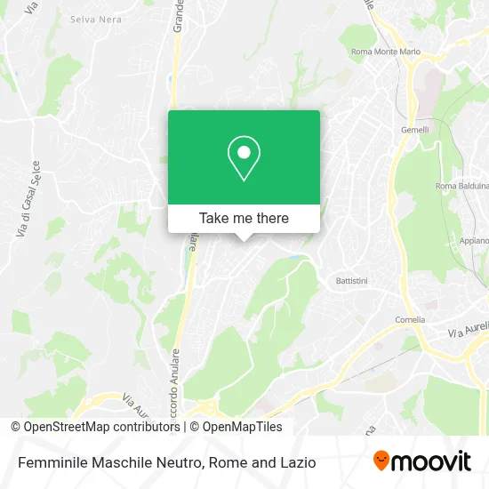 Femminile Maschile Neutro map