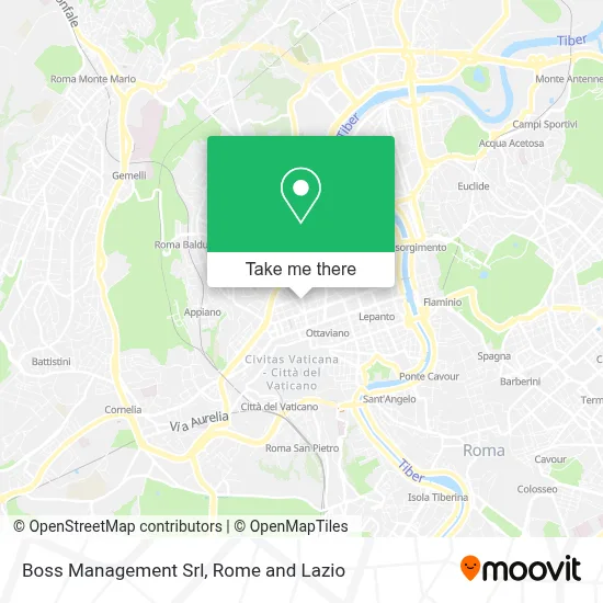 Boss Management Srl map