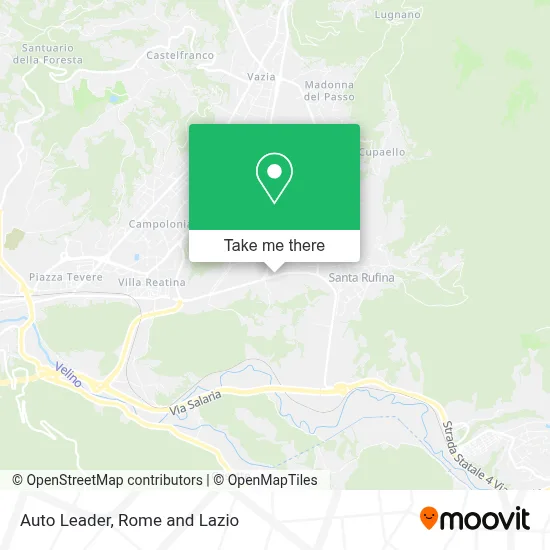 Auto Leader map