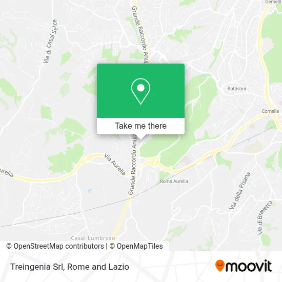 Treingenia Srl map